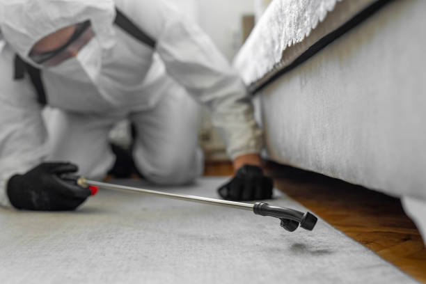Professional Termite Control technician working in Sleepy Eye, MN