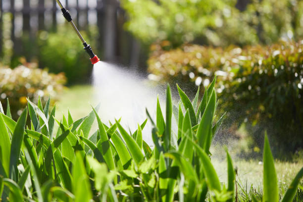 24/7 Emergency Termite Control experts in Sleepy Eye, MN